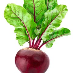 Beetroot — a key GloezDrinks ingredient